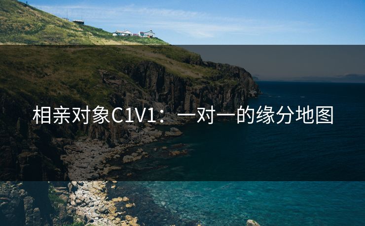 相亲对象C1V1：一对一的缘分地图