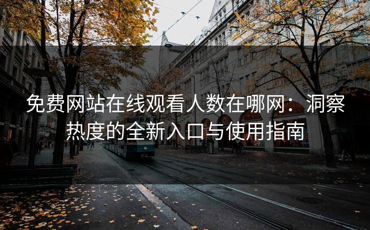 免费网站在线观看人数在哪网：洞察热度的全新入口与使用指南