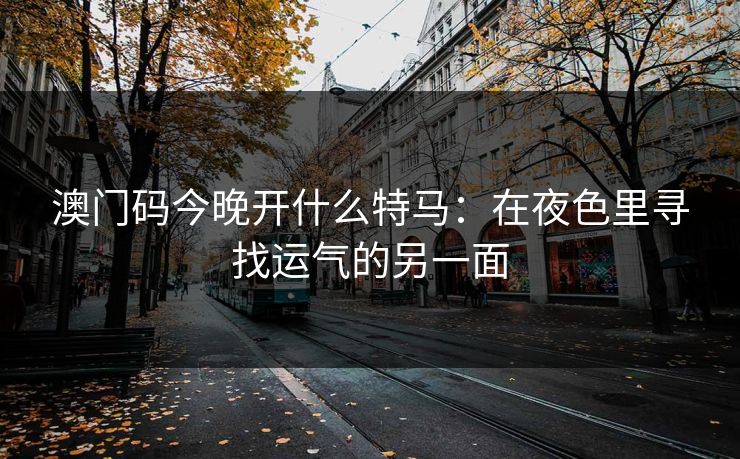 澳门码今晚开什么特马：在夜色里寻找运气的另一面
