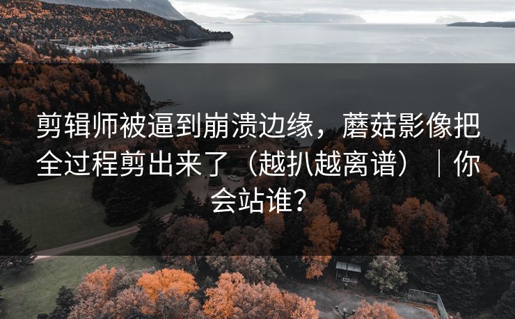 剪辑师被逼到崩溃边缘，蘑菇影像把全过程剪出来了（越扒越离谱）｜你会站谁？