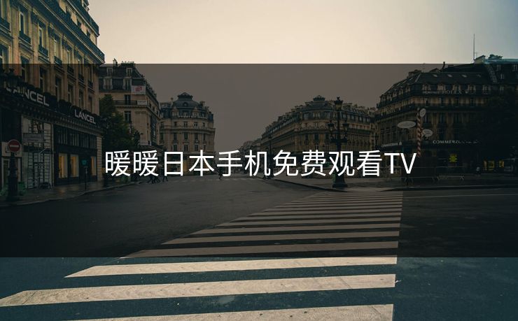 暖暖日本手机免费观看TV