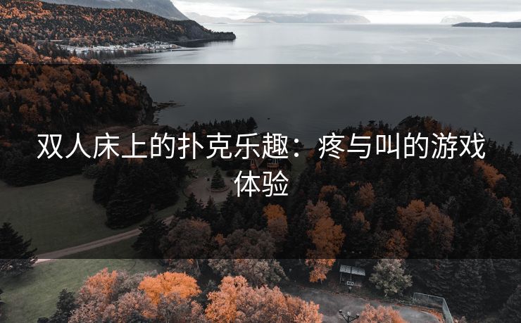 双人床上的扑克乐趣：疼与叫的游戏体验