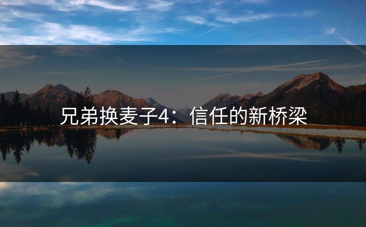 兄弟换麦子4：信任的新桥梁