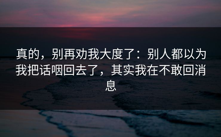 真的，别再劝我大度了：别人都以为我把话咽回去了，其实我在不敢回消息